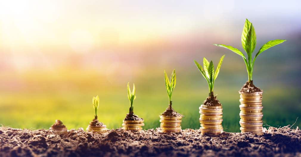 Succesvol beleggen als ondernemer