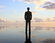 veelondernemerszijnaovstruisvogels