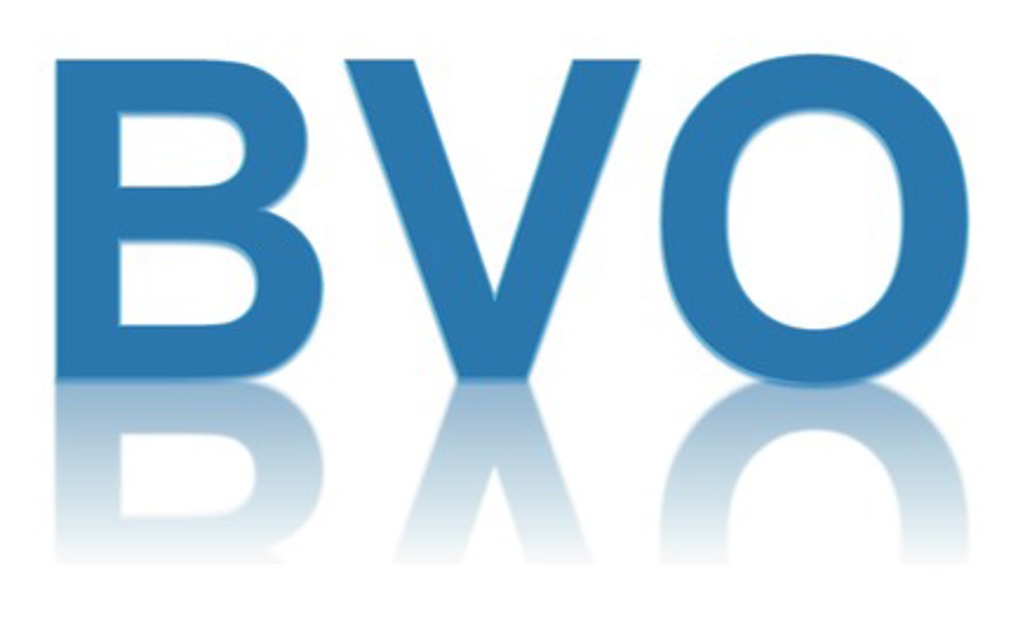 Voorstel zzp belangenorganisaties voor BVO is redding voor KVK