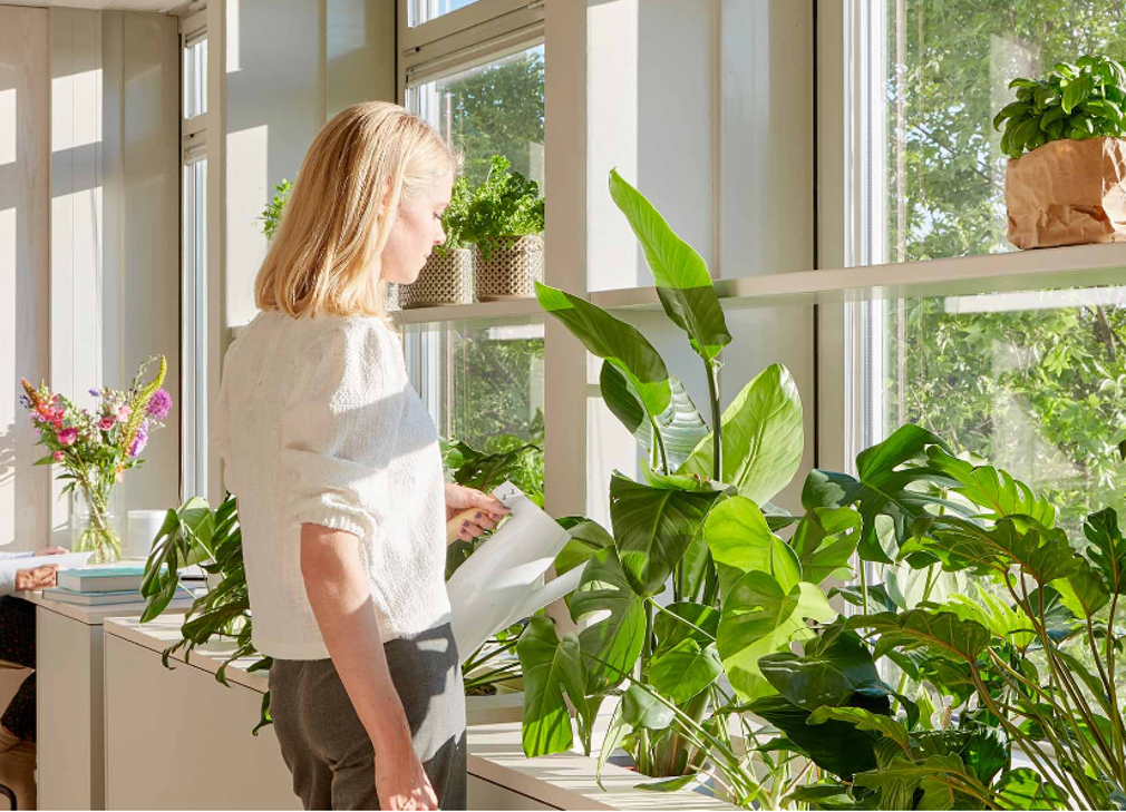 Hoe verduurzaam je het kantoor in 2025? Wij leggen je het uit!