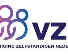 Logo VZN