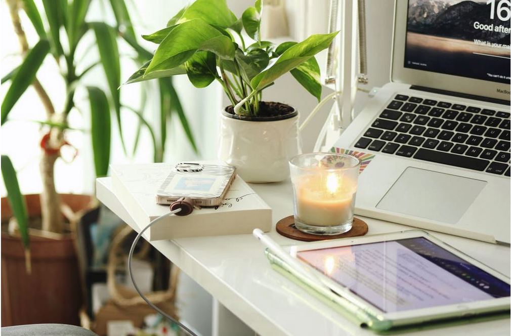 De 5 voordelen van planten op je werkplek als zzp’er