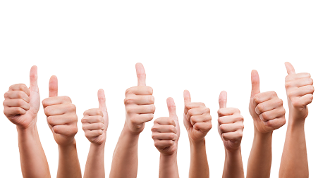 Outperforming in het eerste jaar van deelname direct al drie keer genomineerd