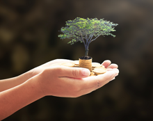 Regel Nabestaandenpensioen Met Overlijdensrisicoverzekering